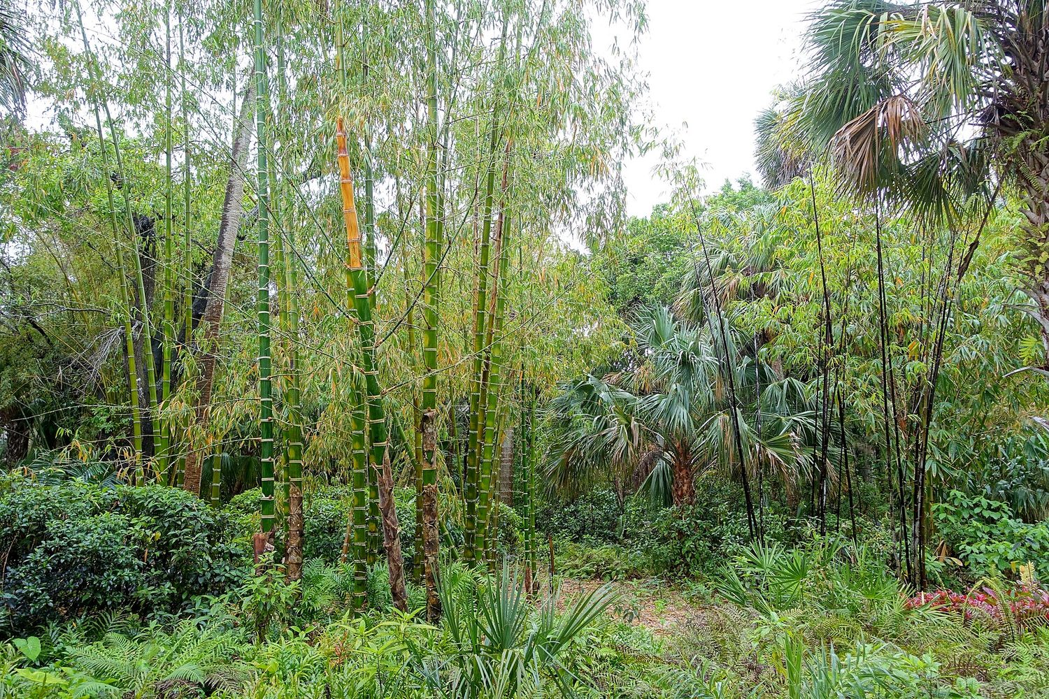 Garden view - McKee Botanical Garden - Vero Beach, Florida - DSC