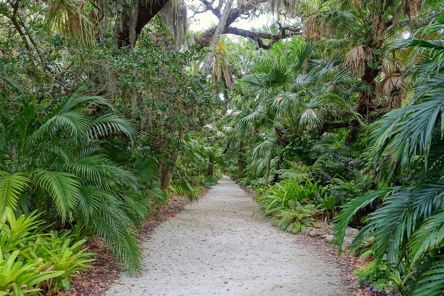 Pathway - McKee Botanical Garden - Vero Beach, Florida - DSC